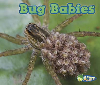 Bug Babies - Book  of the Animal Babies