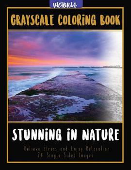 Paperback Stunning in Nature: Landscapes Grayscale Coloring Book Relieve Stress and Enjoy Relaxation 24 Single Sided Images Book