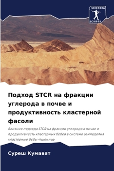 Paperback Подход Stcr на фракции углер&# [Russian] Book