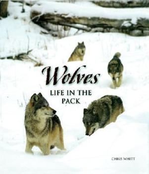 Hardcover Wolves: Life in the Pack Book