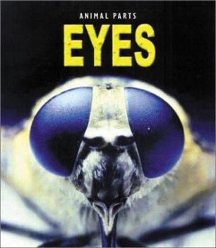 Paperback Eyes Book