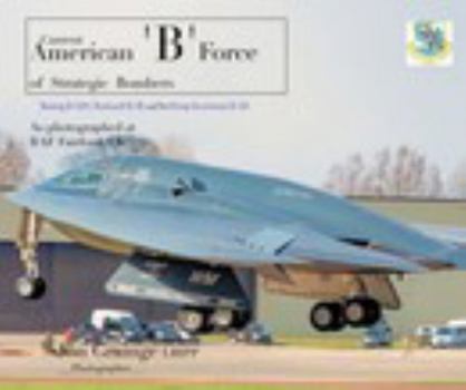 Hardcover The American B Force Book