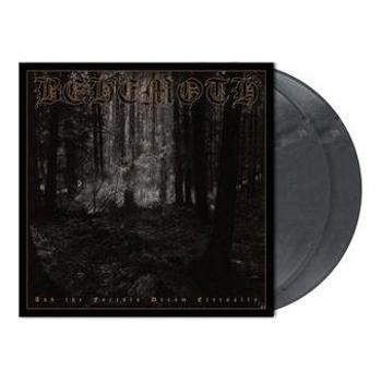 Vinyl And The Forests Dream Eternally Book