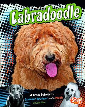 Hardcover Labradoodle: A Cross Between a Labrador Retriever and a Poodle Book