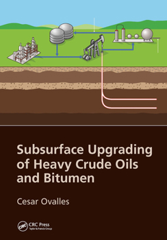 Paperback Subsurface Upgrading of Heavy Crude Oils and Bitumen Book