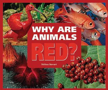 Why Are Animals Red? - Book  of the Rainbow of Animals