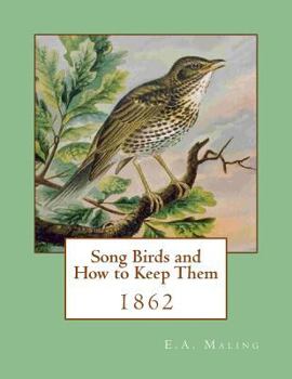 Song Birds and How to Keep Them