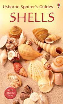 Shells - Book  of the Usborne Spotter's Guides