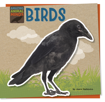 Paperback Birds Book