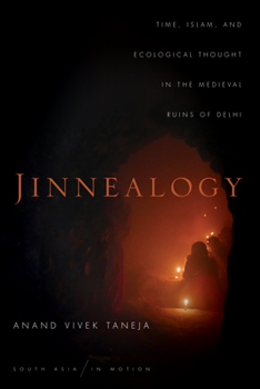 Jinnealogy: Time, Islam, and Ecological Thought in the Medieval Ruins of Delhi - Book  of the South Asia in Motion