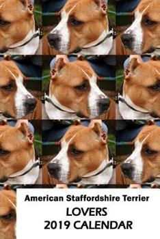 Paperback American Staffordshire Terrier Lovers 2019 Calendar Book