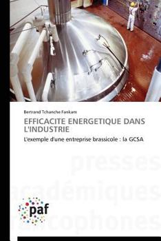 Paperback Efficacité Energétique Dans l'Industrie [French] Book