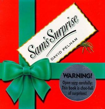 Sam's Surprise - Book  of the Sam & Samantha