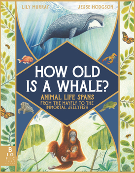 Hardcover How Old Is a Whale?: Animal Life Spans from the Mayfly to the Immortal Jellyfish Book