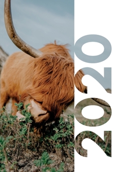 2020: Secret santa Scottish gifts Highland Cow Professional Planner Calendar Organizer Daily Weekly Monthly Student Diary for notes on stocking stuffers for vegetarians