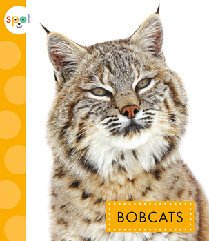 Paperback Bobcats Book