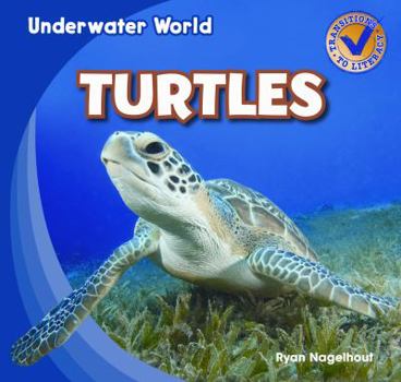 Turtles / Tortugas - Book  of the Underwater World