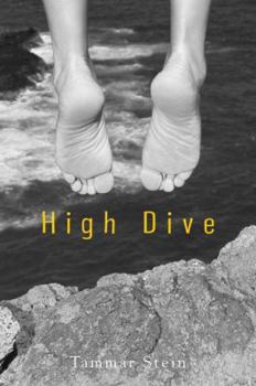 Hardcover High Dive Book