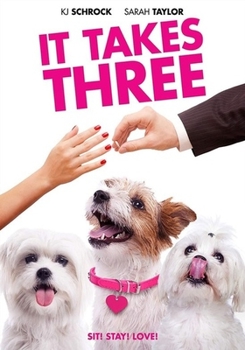 DVD It Takes Three Book