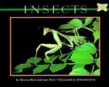 Paperback Insects Book