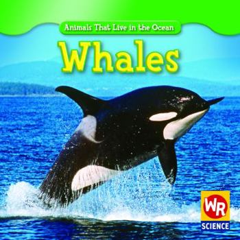Whales - Book  of the Animals That Live in the Ocean