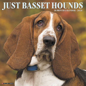 Calendar Just Basset Hounds 2020 Wall Calendar (Dog Breed Calendar) Book