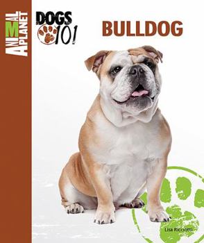Hardcover Bulldog Book