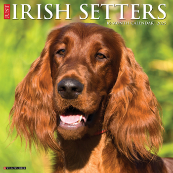 Calendar Just Irish Setters 2025 12 X 12 Wall Calendar Book
