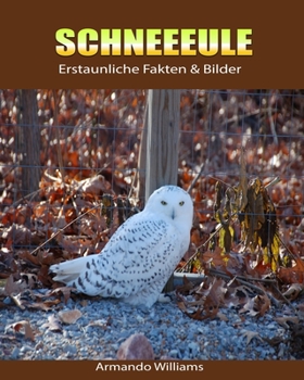 Paperback Schneeeule: Erstaunliche Fakten & Bilder [German] Book