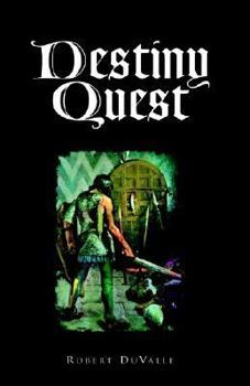 Paperback Destiny Quest Book