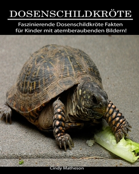 Dosenschildkr�te: Faszinierende Dosenschildkr�te Fakten f�r Kinder mit atemberaubenden Bildern!
