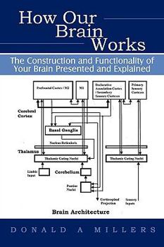 How Our Brain Works: The Construction and Functionality of Your Brain Presented and Explained
