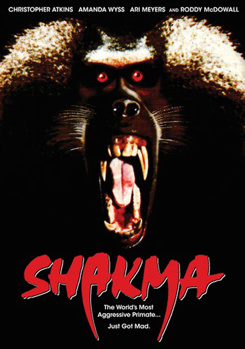 DVD Shakma Book