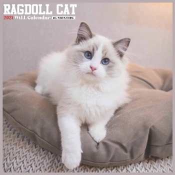 Ragdoll Cat 2021 Wall Calendar: Official Ragdoll Breed Calendar 2021