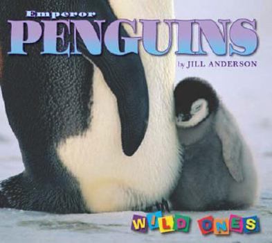 Hardcover Emperor Penguins Book