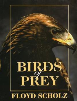 Hardcover Birds of Prey Book
