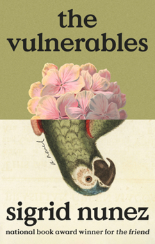 Hardcover The Vulnerables Book