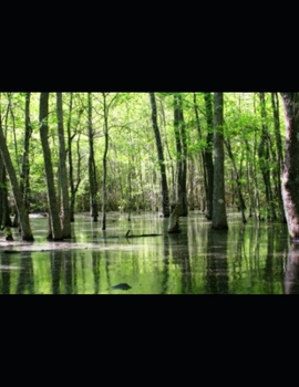 Paperback Witches and Black Roeses #14 Carolina Voodoo Book