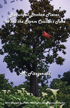 Paperback Beautiful Broken Pieces: What the Storm Couldn't Take Book