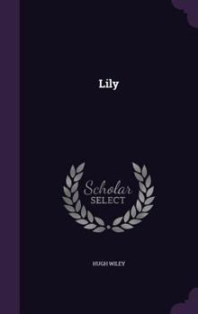 Hardcover Lily Book