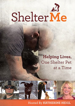 DVD Shelter Me Book