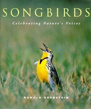 Hardcover Songbirds: Celebrating Nature's Voice Book