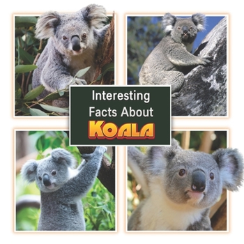 Paperback Interesting Facts About Koala: Children's Picture Book for Koala / Facts About Koala for Kids Book