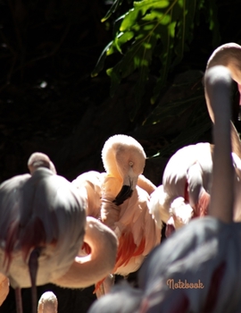 Notebook: Lined Notebook Journal,170 Pages - Large (8.5 x 11 inches)