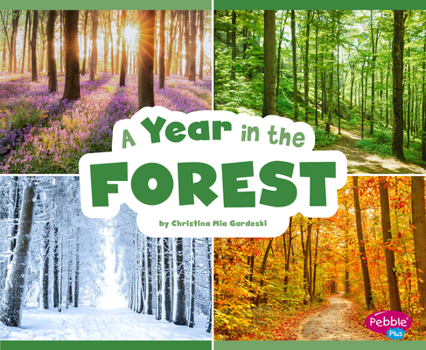 Paperback A Year in the Forest Book