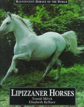 Library Binding Lipizzaner Horses Book