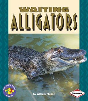 Paperback Waiting Alligators Book