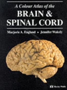 Paperback A Colour Atlas of The Brain and Spinal Cord Book