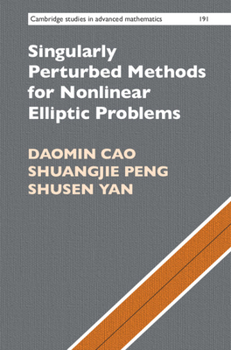 Hardcover Singularly Perturbed Methods for Nonlinear Elliptic Problems Book