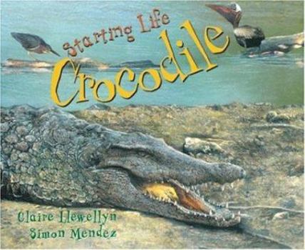 Hardcover Starting Life: Crocodile Book